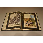 Настольная книга охотника — книга для мужчины — оригинальный подарок — фотография 3