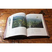 На память: Вино — набор с 2 бокалами — книга для мужчины — фотография 6